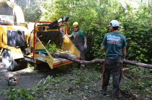 tree services Floral City